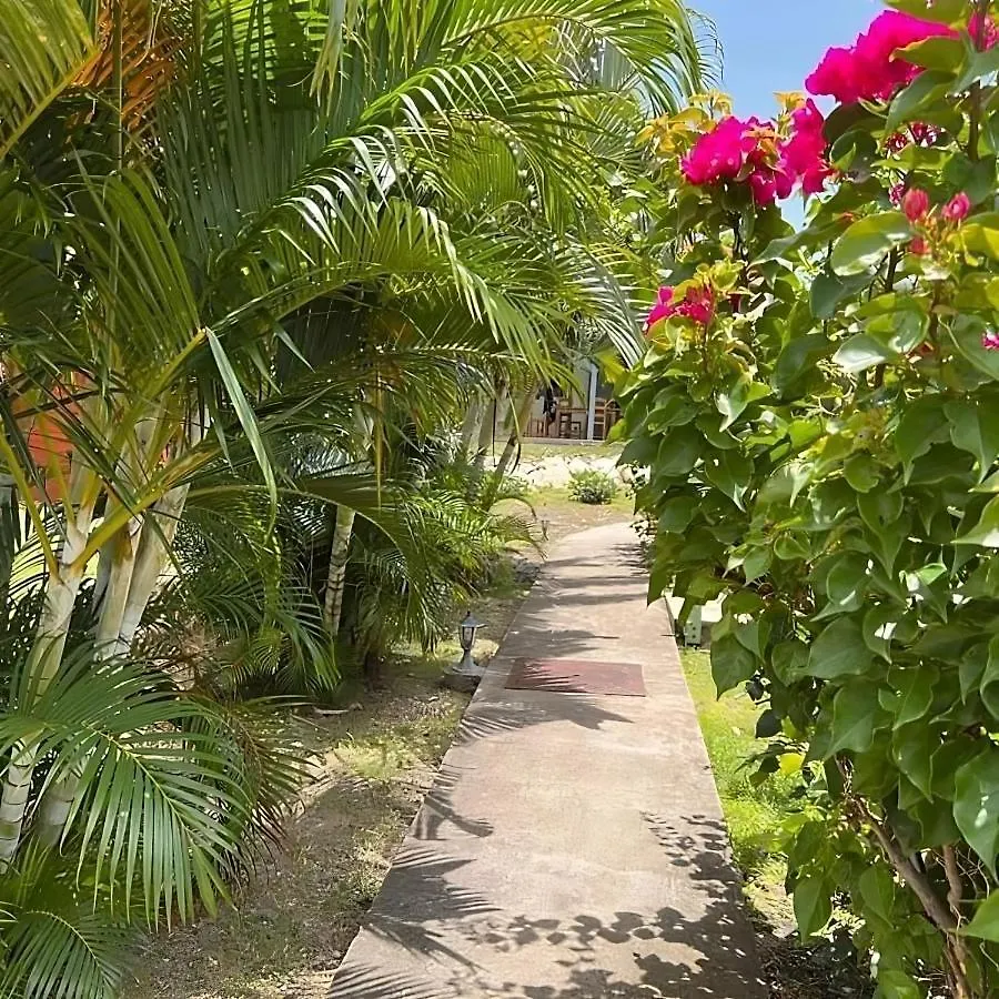 Evasion Tropicale Villa Cosy Avec Piscine Et Bungalow Saint-Louis Guadeloupe